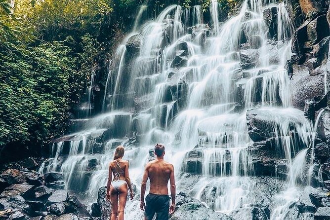 Bali: Ubud Highlights Tour with Private Guide and Transfers - The private car is the real convenience
