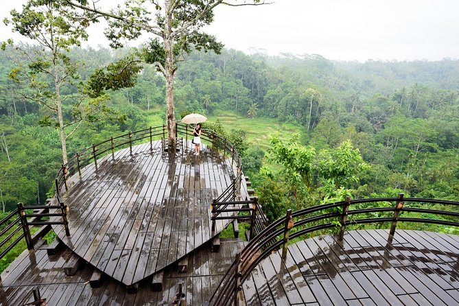 Bali Ubud & Kintamani Volcano Tour -All Inclusive - Lunch beside the Tegallalang rice terraces