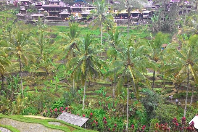 Bali Ubud & Kintamani Volcano Tour -All Inclusive - Batuan Temple and the first look at Balinese design