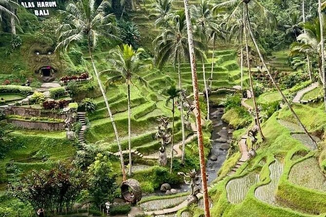 Bali Ubud Private Costomized Tour - Explore Bali your way - Tegenungan Waterfall, with time to cool off