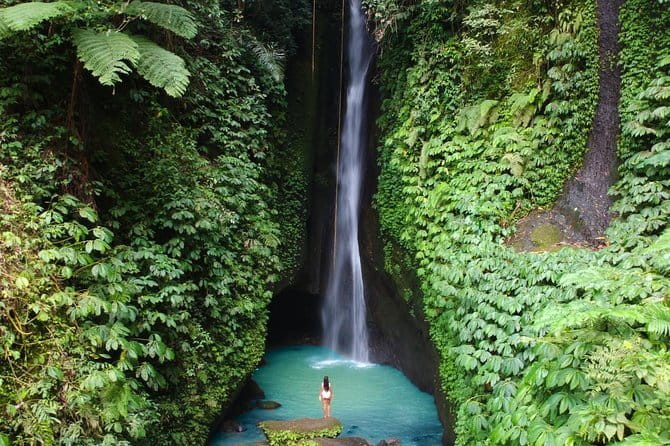 Bali: Ubud (Temple, Spring, Rice Terraces, & Waterfall) - Sacred Monkey Forest, with a little caution