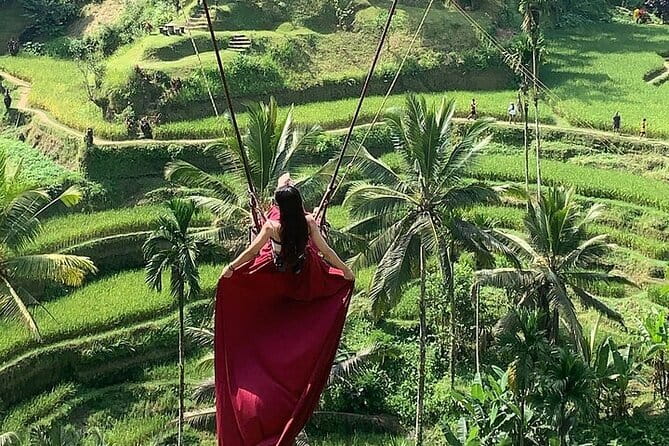 Bali Ubud Tour Monkey Forest, Waterfall, Temple & Rice Terrace - Why this Ubud day makes sense