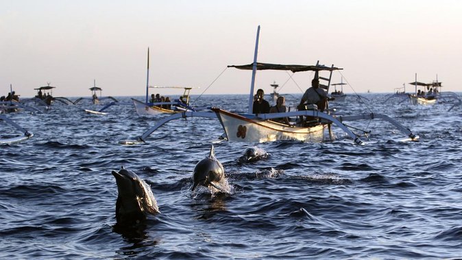 Bali Watching Dolphin at Lovina Beach & aling aling waterfall - Sunrise boats and the search for dolphins