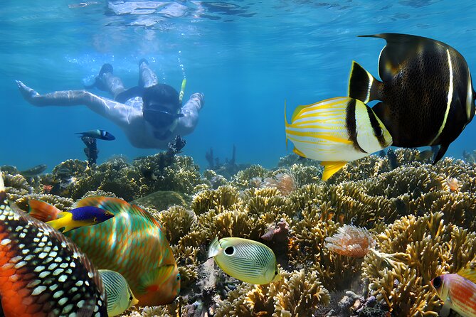 Bali Water Sport Jumbo Packages - Is $70 a good value?