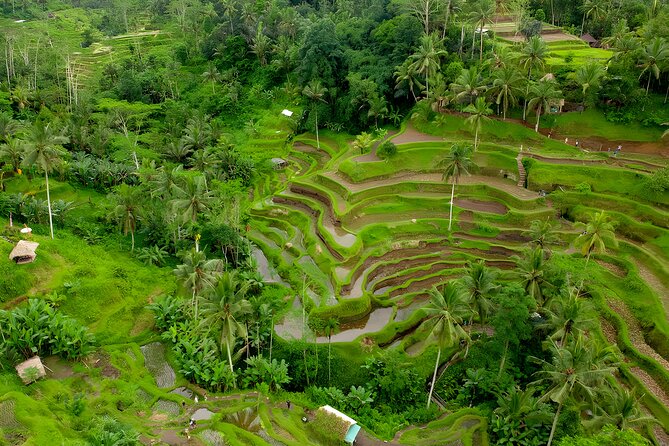 Bali Water Sports and Ubud Tour Packages - From Nusa Dua water sports to inland Bali