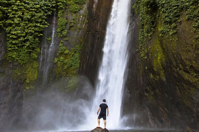 Bali Waterfall Tour – Hidden Spot All Inclusive Private Day Trip - Munduk Waterfall begins with a forest walk
