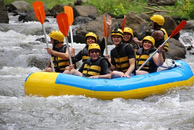 Bali White-Water Rafting Adventure - Who will enjoy this Bali day trip most?