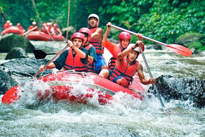 Bali White Water Rafting on Ayung River with Lunch - Safety briefing, equipment, and getting on the river