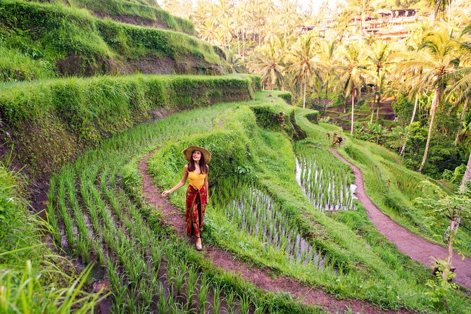 Bali White Water Rafting with No Steep Access - What the Ayung River rafting is really like