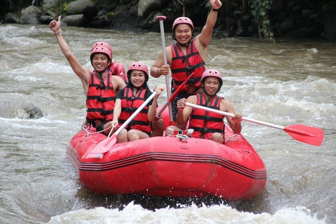 Bali White Water Rafting with No Steep Access - Meeting at Bongkasa Pertiwi