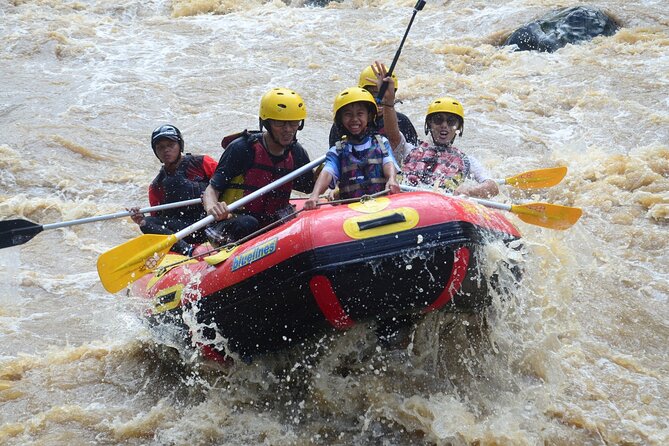 Bali White Water Rafting with Sacred Monkey Forest and Swing - Rafting near Bongkasa Pertiwi