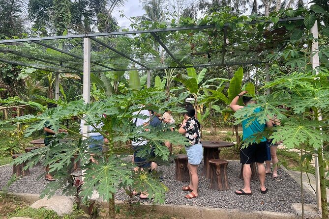 Balinese Cooking Class with Traditional Market Tour - What the price includes at $58.16