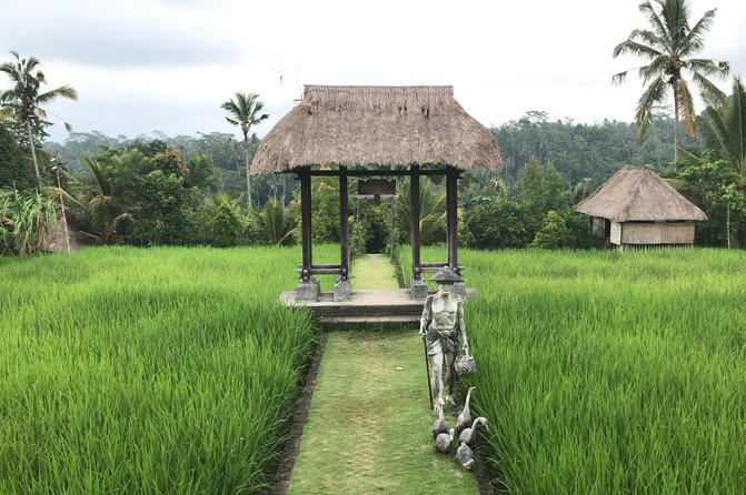 Balinese Life Style Tour - What the Private Car Adds to the Day