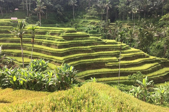 Balinese Life Style Tour - The Guide Can Make the Cultural Side Stronger