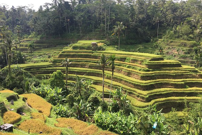 Balinese Life Style Tour - Who Should Book This Bali Culture Tour