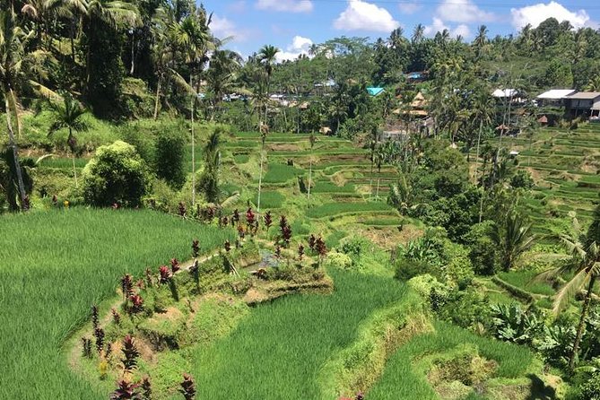 Balinese Life Style Tour - Gunung Kawi Sebatu and Bali’s Sacred Spring Water