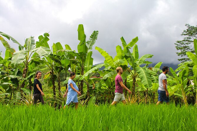 Balinese Vegan Cooking Class with Fresh Harvesting & Garden Tour - Traditional Balinese cooking with a vegan menu
