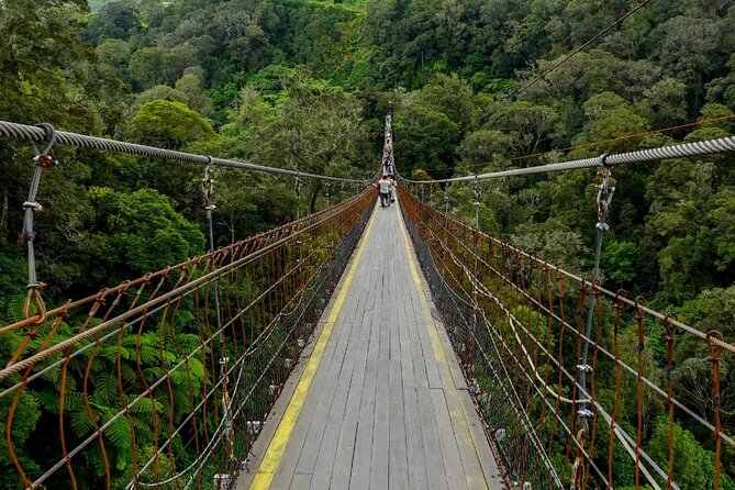 Bandung Crater Adventure Hotspring and Mud Bath - Who should book this Bandung adventure?