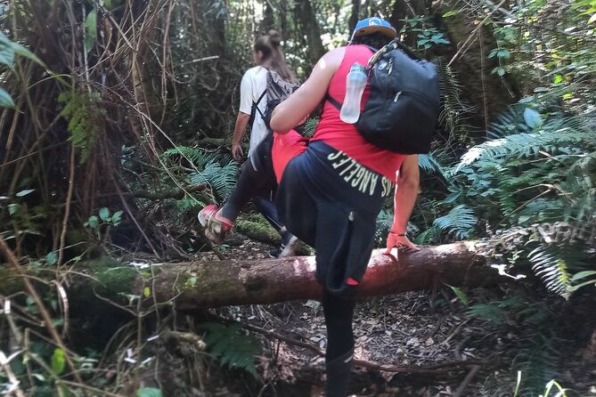 Bandung Tour Volcano, Hotsprings, Mud, Tea, Lunch all Included - The road time shapes the whole experience