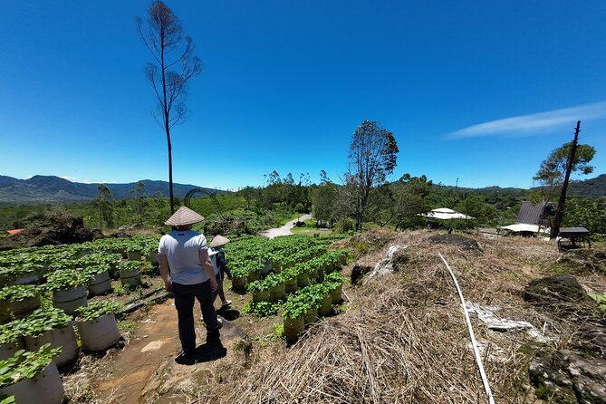 Bandung Volcano Sightseeing and Hot Spring Private Tour - Two Bandung volcano routes, not one simple loop