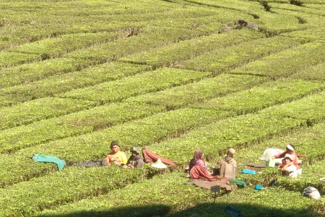 Bandung Volcano Sightseeing and Hot Spring Private Tour - Sari Ater Hot Spring for the final soak