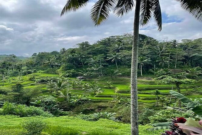 Banyumala Waterfall, Jatiluwih, Ulun Danu and Tanah Lot tours - Banyumala Twin Waterfalls and the walk down