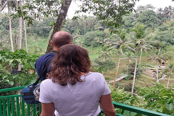 Banyumala Waterfall, Jatiluwih, Ulun Danu and Tanah Lot tours - Ulun Danu Bratan, Bali’s lake temple