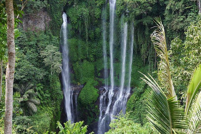 Banyuwana & Banyumala Waterfalls Tour Private - All-Inclusive - Why the waterfalls make this a memorable Bali day