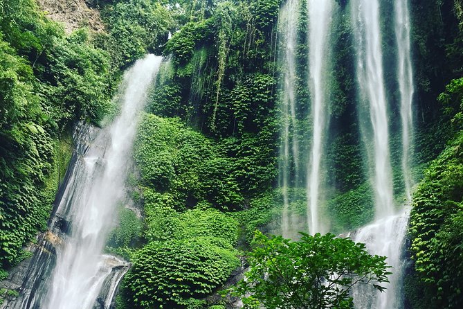 Banyuwana & Banyumala Waterfalls Tour Private - All-Inclusive - Rice terraces, volcano views, and the coffee stop