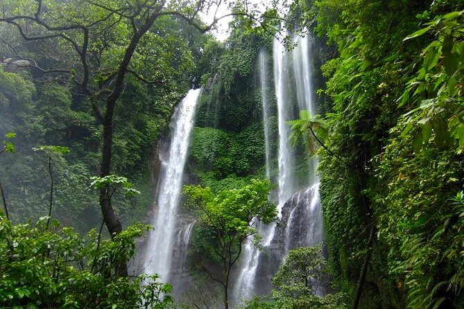 Banyuwana & Banyumala Waterfalls Tour Private - All-Inclusive - Long drives are part of the bargain