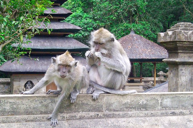 Best Bali Package Tour: 4 Days with Airport or Hotel Transfer - Day One: From Ngurah Rai Airport to Uluwatu Sunset