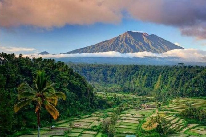 Best bali transport service - custom your own itinerary - Why a private Bali car can improve your day