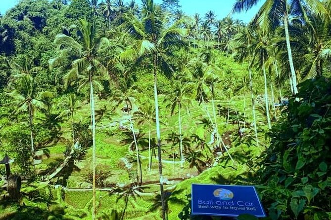 Best bali transport service - custom your own itinerary - Private comfort, group size, and the real value of $64.94
