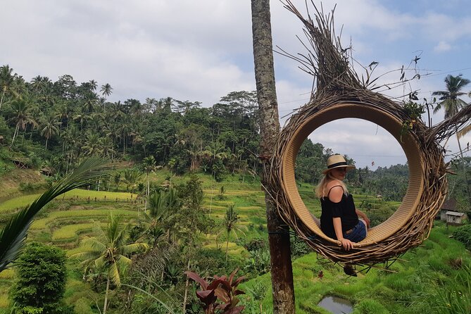 Best Bali Ubud Full Day All-Inclusive Private Tour - Why this private Ubud day works