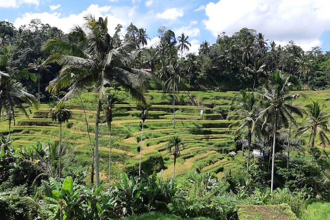 Best Bali Ubud Full Day All-Inclusive Private Tour - Batuan Temple starts the day with Balinese ceremony