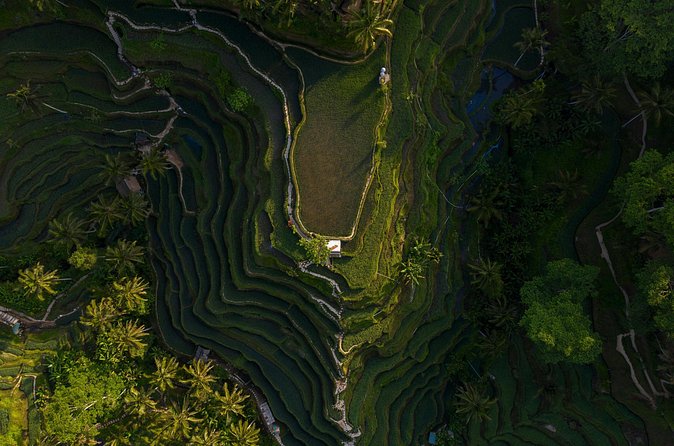 Best Day Tour - #1 Ubud Top Attraction - Batuan Temple and Bali’s Three-Temple Idea