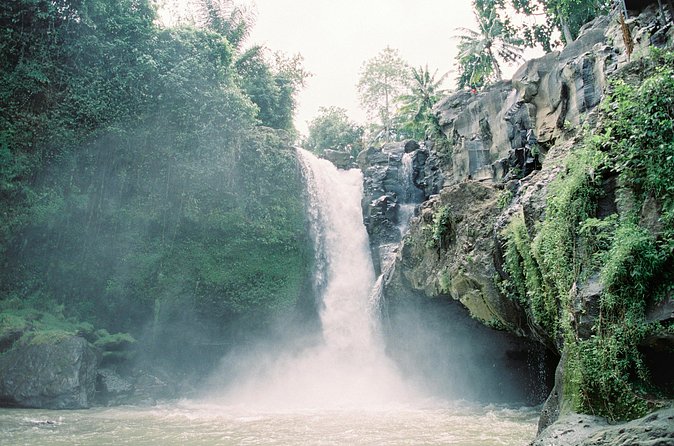 Best Day Tour - #1 Ubud Top Attraction - Tegalalang Rice Terrace and the Subak Irrigation System