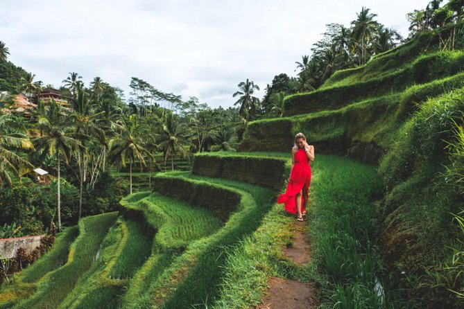 Best Day Trip in Bali - Why this Ubud day trip covers so much ground