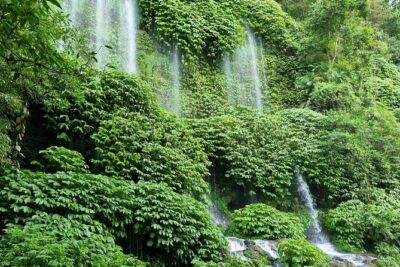 Best Lombok Rice Terrace Walking Tour With Waterfall & Monkey