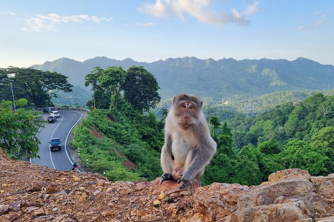 Best Lombok Rice Terrace Walking Tour With Waterfall & Monkey - Practical preparation for the walk and weather