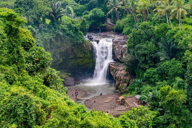 Best of Authentic Balinese Tour - Why this private Ubud tour works well