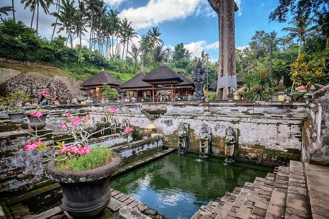 Best of Bali : Bali Temples , Rice Terrace and Waterfall Tour - Tegalalang Rice Terrace: views worth the uphill work