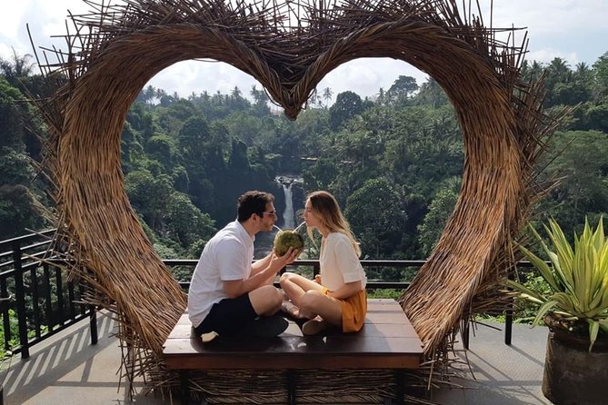 Best of Bali Jungle Swing with Ubud Sightseeing Tour - Tegenungan Waterfall and a chance to swim