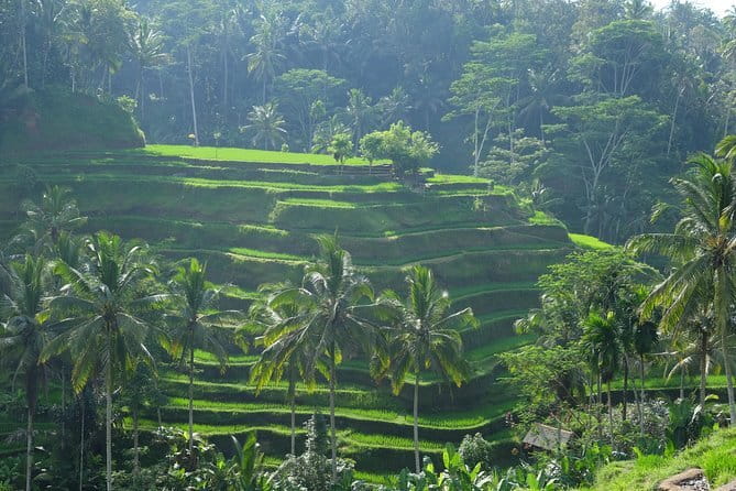 Best of Bali Private Shore Excursions - Ubud Traditional Art Market: browse carefully and budget extra