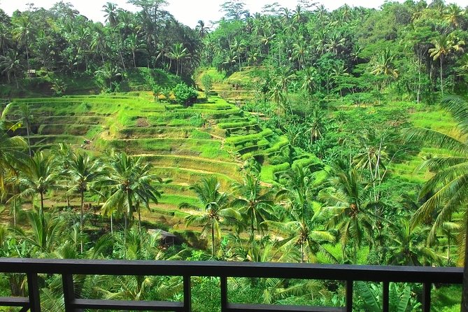 Best of Bali : Ubud, Rice terrace, Tanah lot temple with Lunch - Tegalalang: Bali’s famous hillside rice fields
