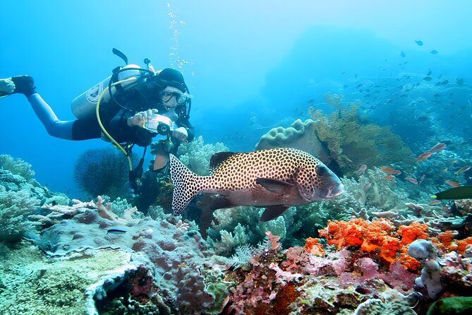Best of Bali Water Sport Jumbo Packages - Why an early start is worth considering