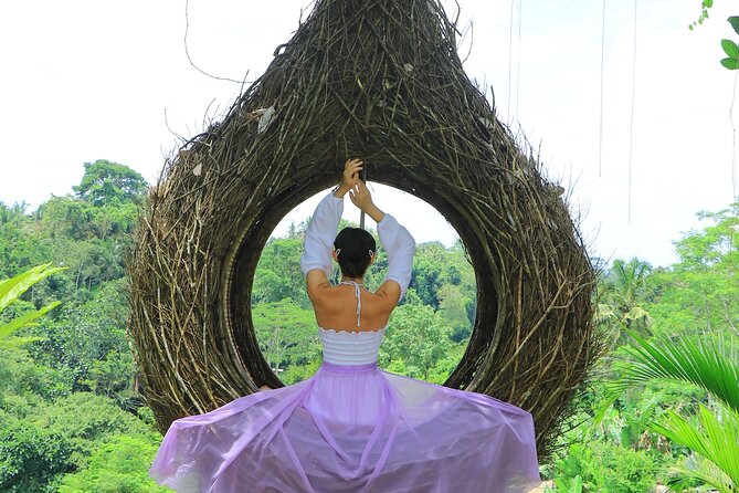 Best of Instagram Tour: Gate of Heaven, Tirta Gangga, Bali Swing - Aloha Ubud Swing and the extra photographer fee