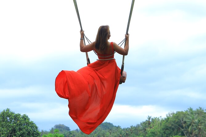 Best of Instagram Tour: Gate of Heaven, Tirta Gangga, Bali Swing - What the private driver adds to the day