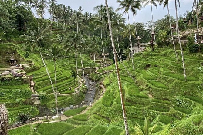 Best of Instagram Tour: Gate of Heaven, Tirta Gangga, Bali Swing - Who should book this 10-hour Bali outing