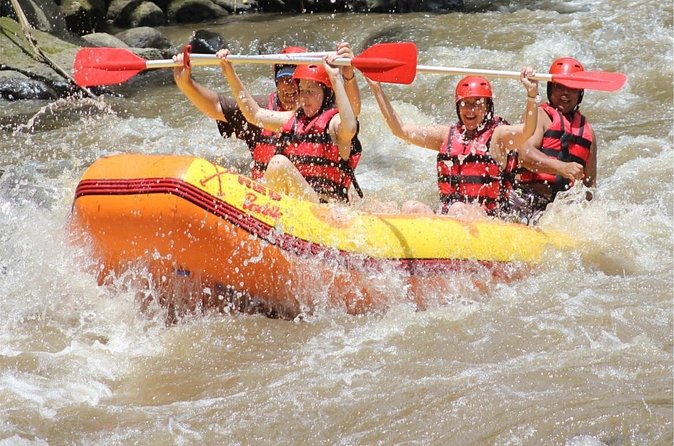 Best of Ubud Adventure: Ayung Rafting - ATV - Quad Bike with Private Transport - Who should book this experience?